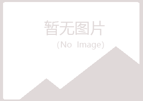 庐山区夏岚金融有限公司